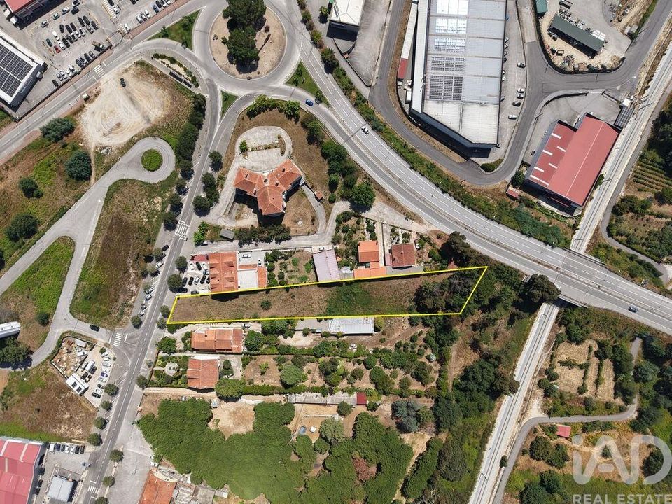 Terra em Carregal do Sal, Viseu - foto 1