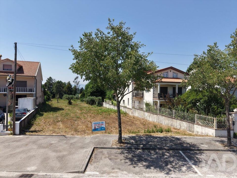 Terra em Carregal do Sal, Viseu - foto 2
