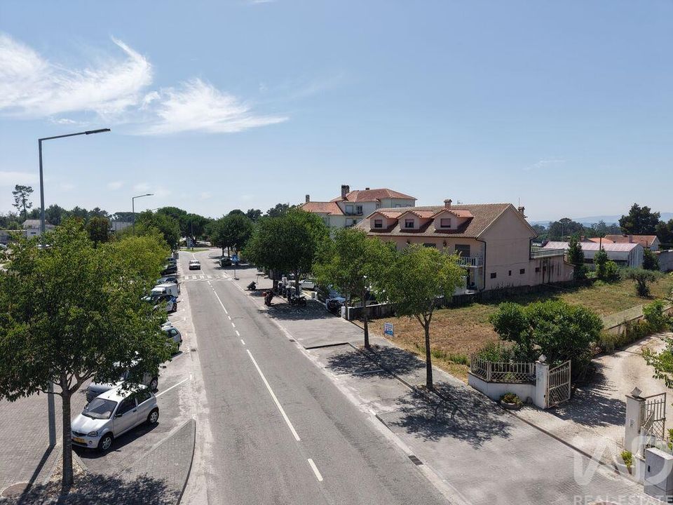 Terra em Carregal do Sal, Viseu - foto 3
