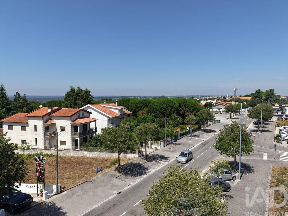 Terra em Carregal do Sal, Viseu - foto 4