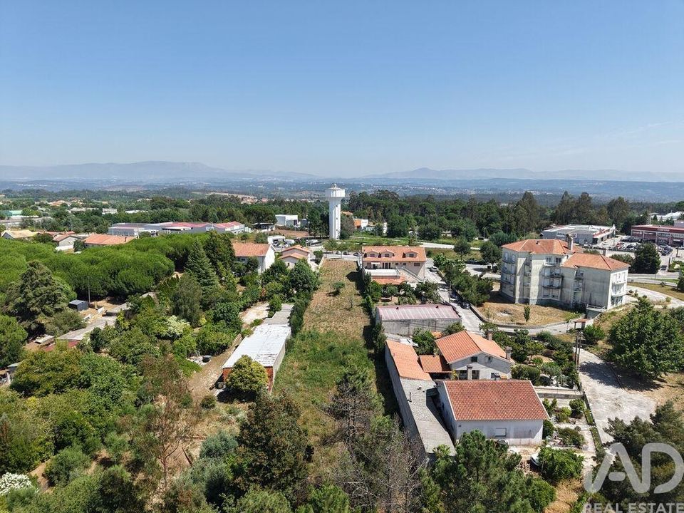 Terra em Carregal do Sal, Viseu - foto 5