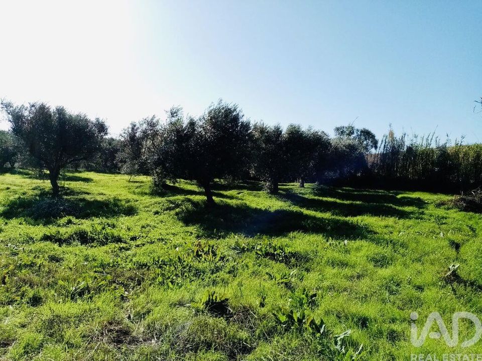 Tomt i Vidigueira, Beja - foto 1