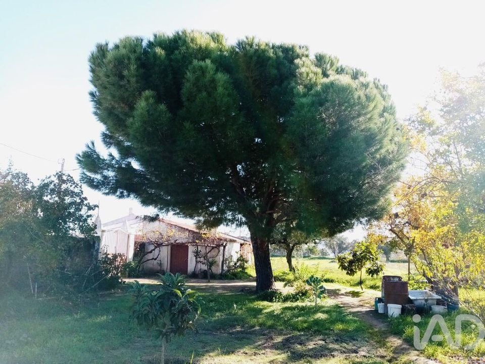 Tomt i Vidigueira, Beja - foto 2