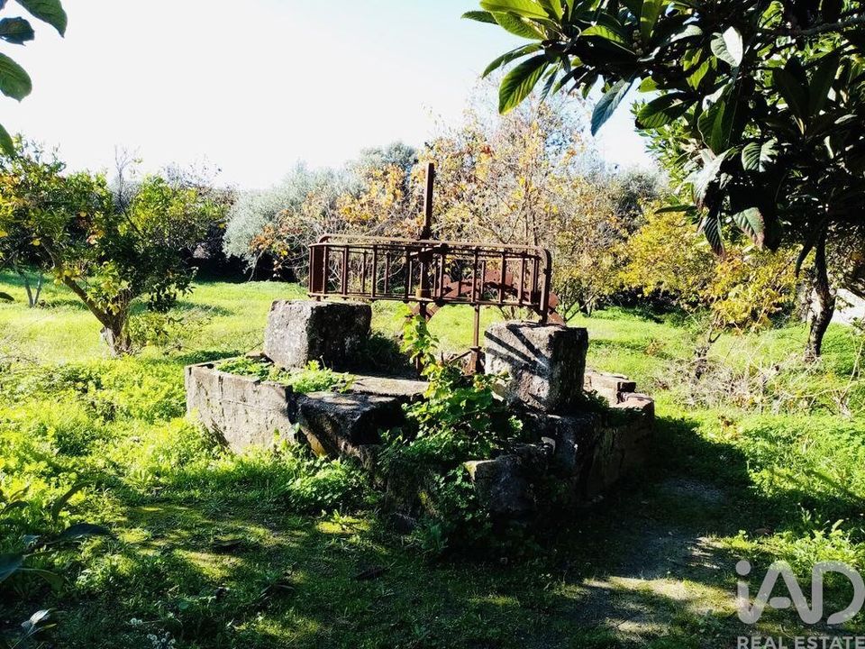 Tomt i Vidigueira, Beja - foto 3