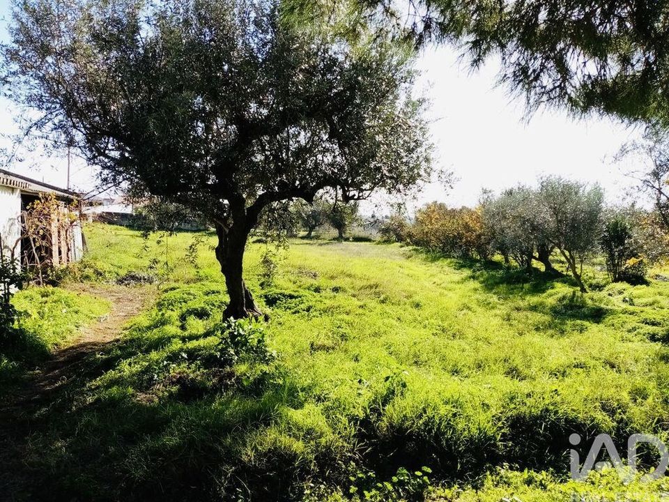 Tomt i Vidigueira, Beja - foto 4
