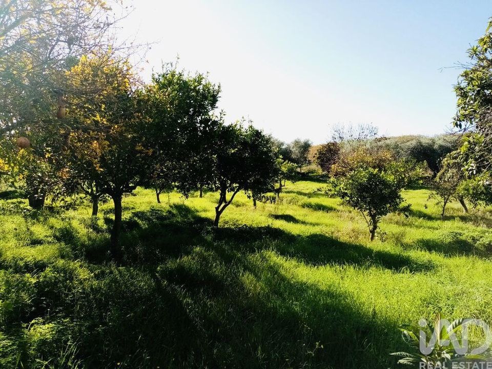 Tomt i Vidigueira, Beja - foto 5