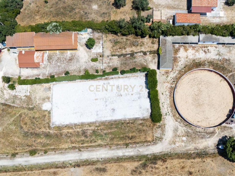 Boerderij in Benavente, Santarem - foto 1