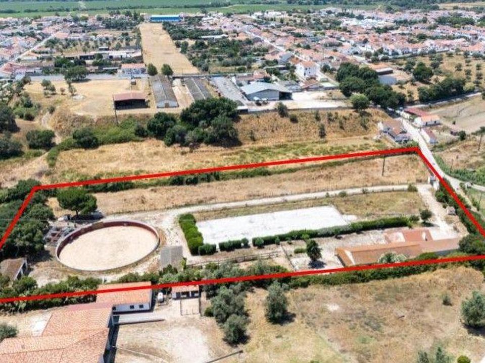 Boerderij in Benavente, Santarem - foto 3