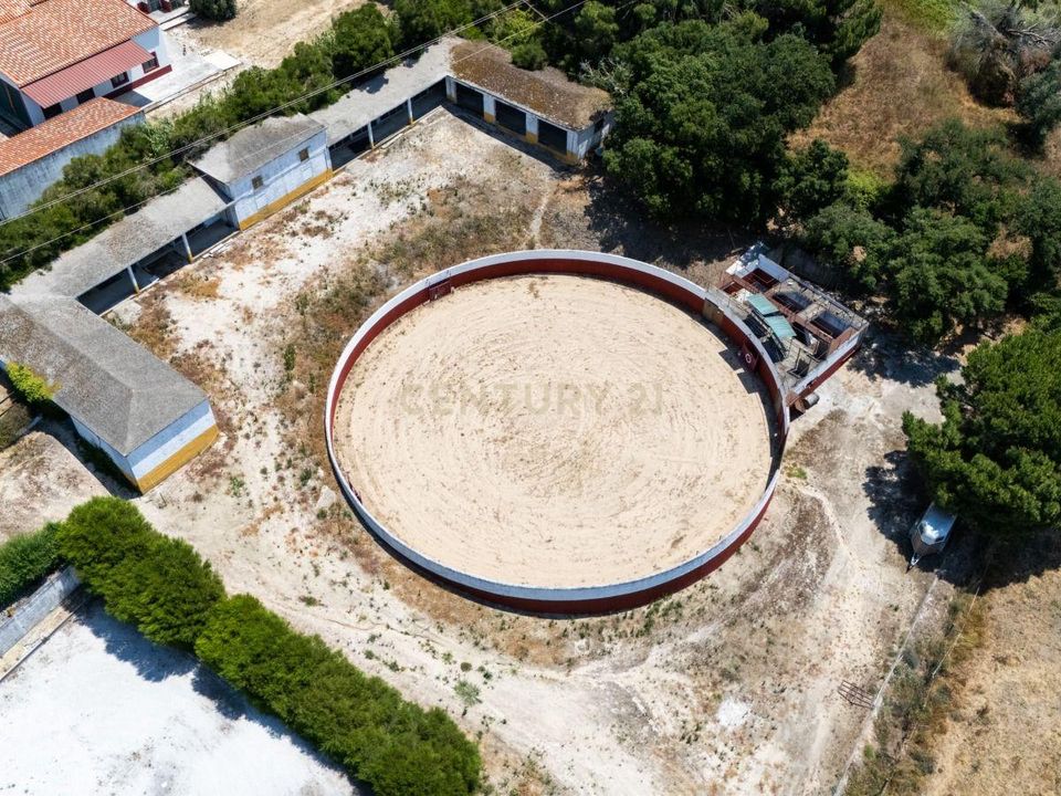 Boerderij in Benavente, Santarem - foto 4