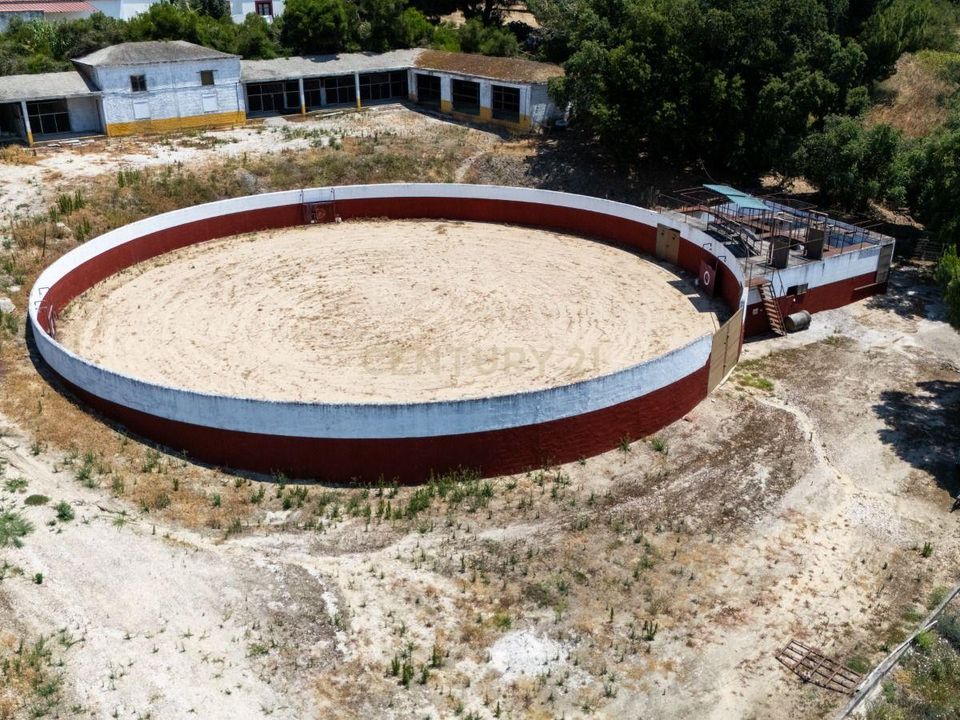 Boerderij in Benavente, Santarem - foto 5