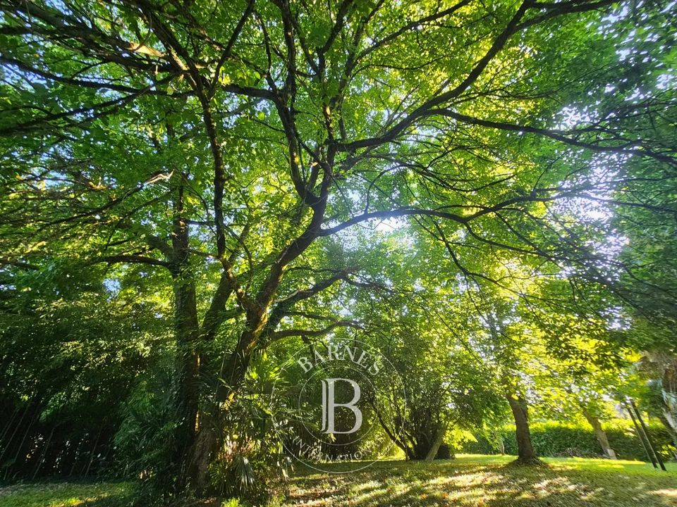 Landejendom i Salies-de-Bearn, Pyrenees-Atlantiques - foto 4