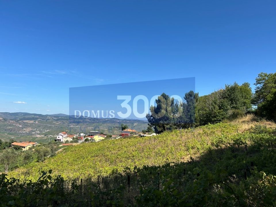 Helårsgrund i Loureiro, Vila Real - foto 1