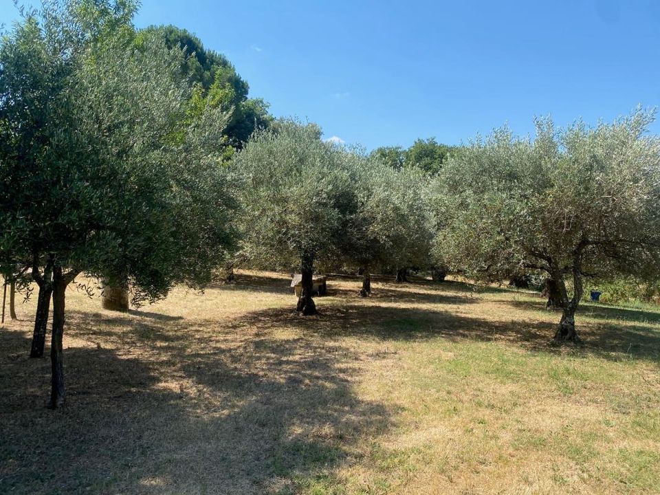 Grond in Sainte-Anastasie, Gard - foto 1