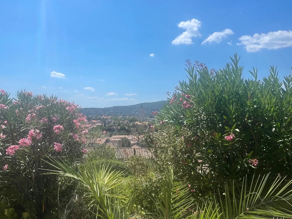 Villa i Draguignan, Var - foto 1