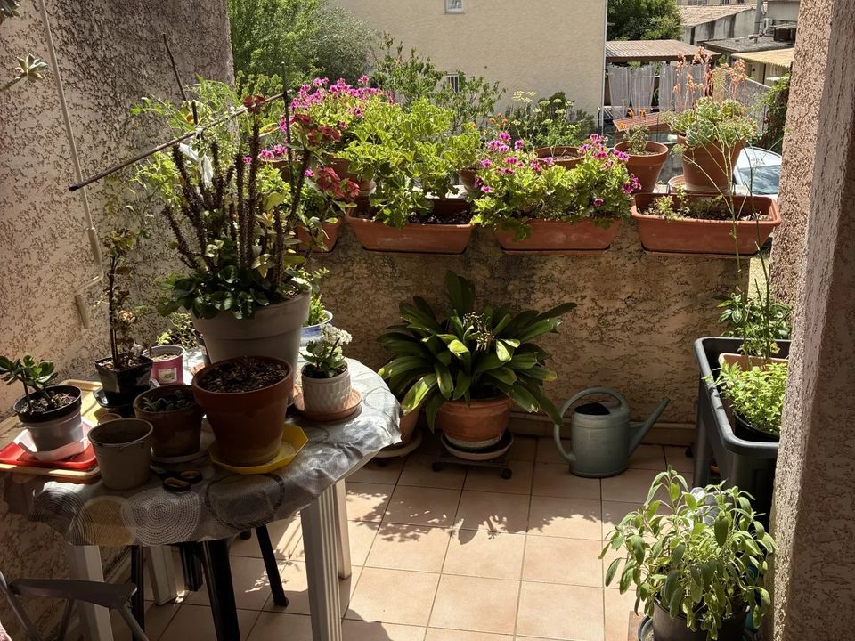 Lejlighed i Saint-Florent, Haute-Corse - foto 1