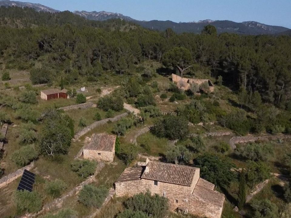 Finca en Tivissa, Tarragona - foto 3