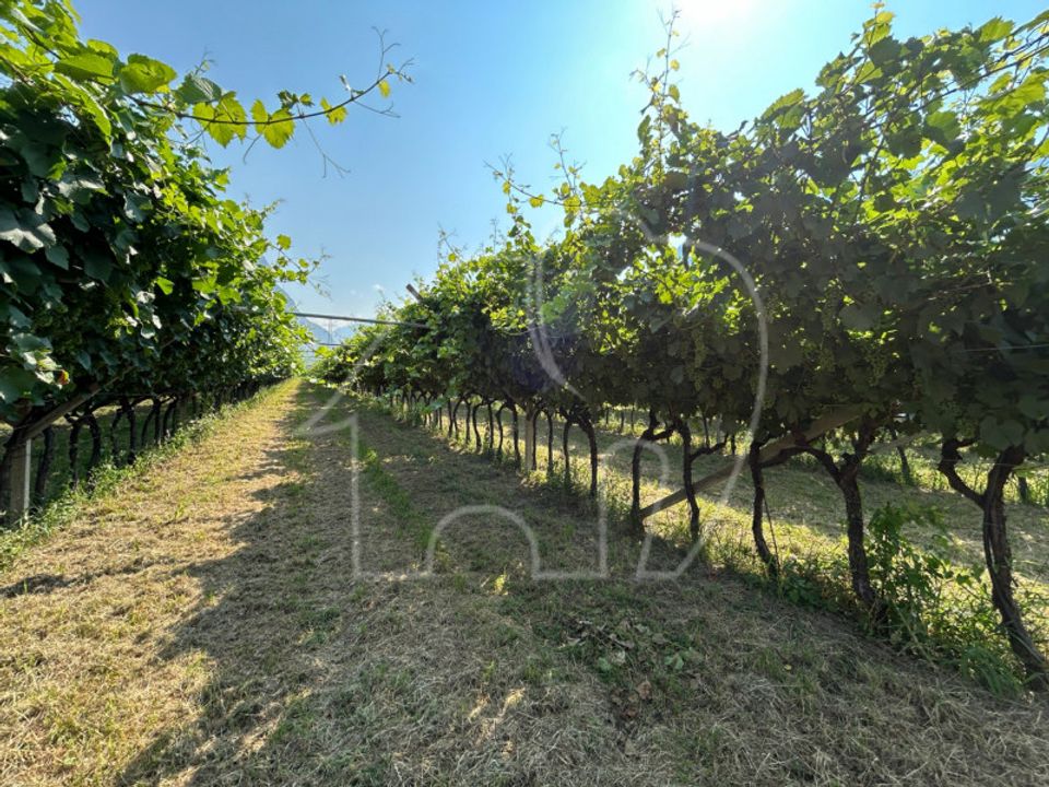 Działka: Mezzocorona, Trento – zdjęcie 3