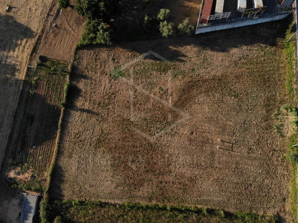 Helårsgrund i Rio Maior, Santarem - foto 3
