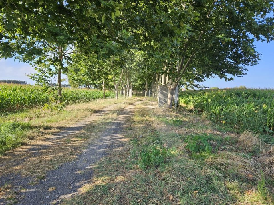 Helårsgrund i Ilhavo, Aveiro - foto 2