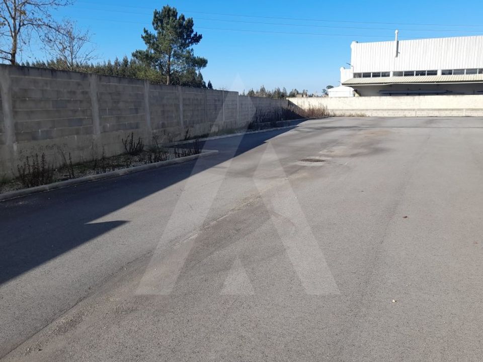 Erhvervsejendom i Oliveira do Bairro, Aveiro - foto 4