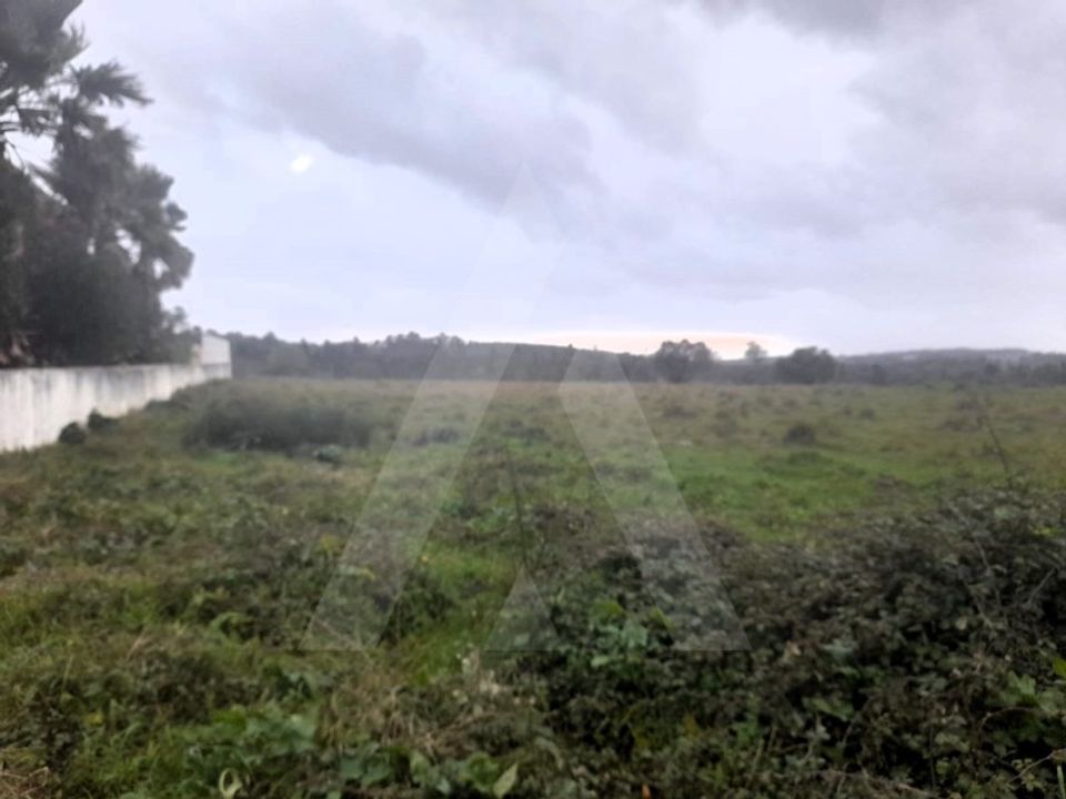 Helårsgrund i Mealhada, Aveiro - foto 4