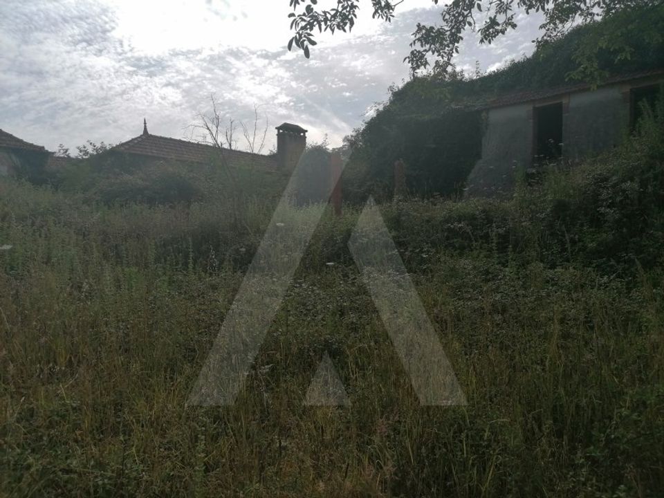 Działka: Alquerubim, Aveiro – zdjęcie 1