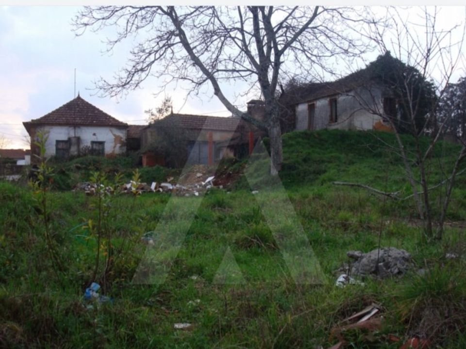 Działka: Alquerubim, Aveiro – zdjęcie 2