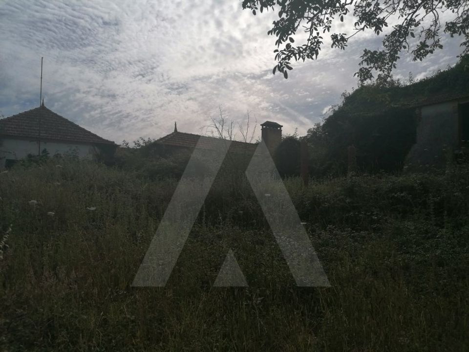 Działka: Alquerubim, Aveiro – zdjęcie 5