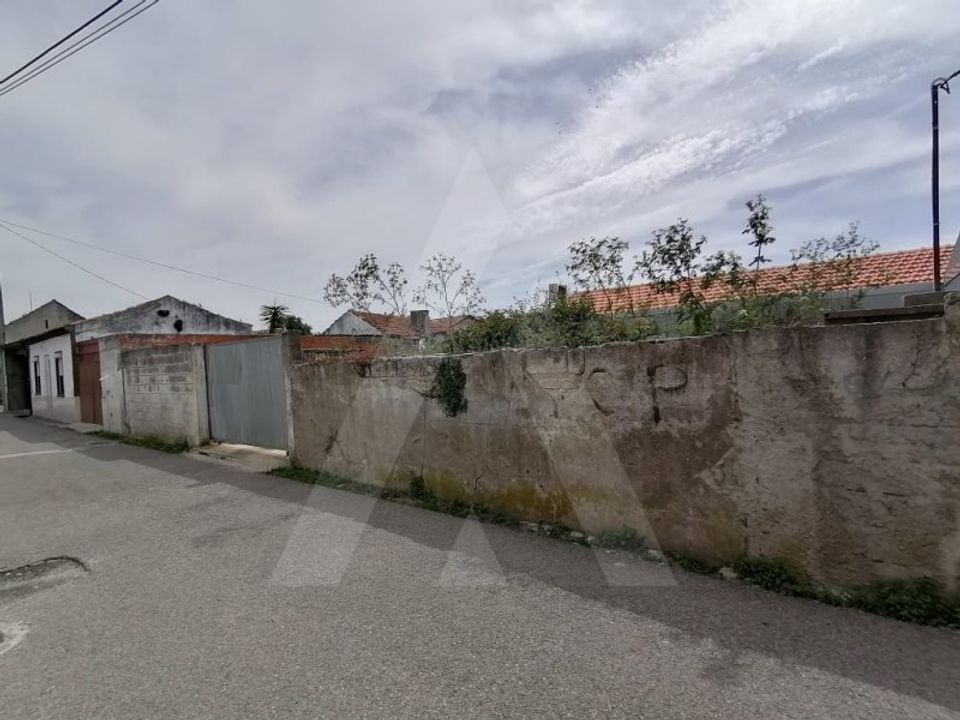 Helårsgrund i Vagos, Aveiro - foto 4