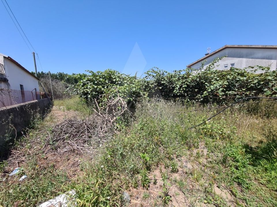 Helårsgrund i Oliveira do Bairro, Aveiro - foto 1