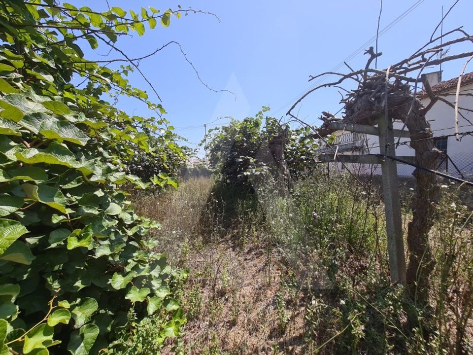 Helårsgrund i Oliveira do Bairro, Aveiro - foto 4