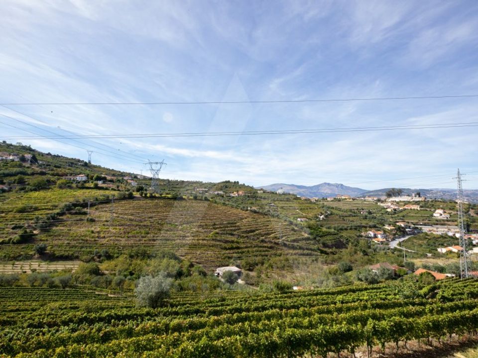 Helårsgrund i Lamego, Viseu - foto 1