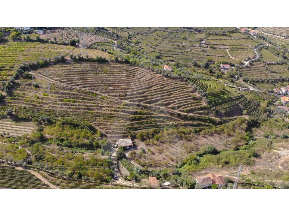 Helårsgrund i Lamego, Viseu - foto 2
