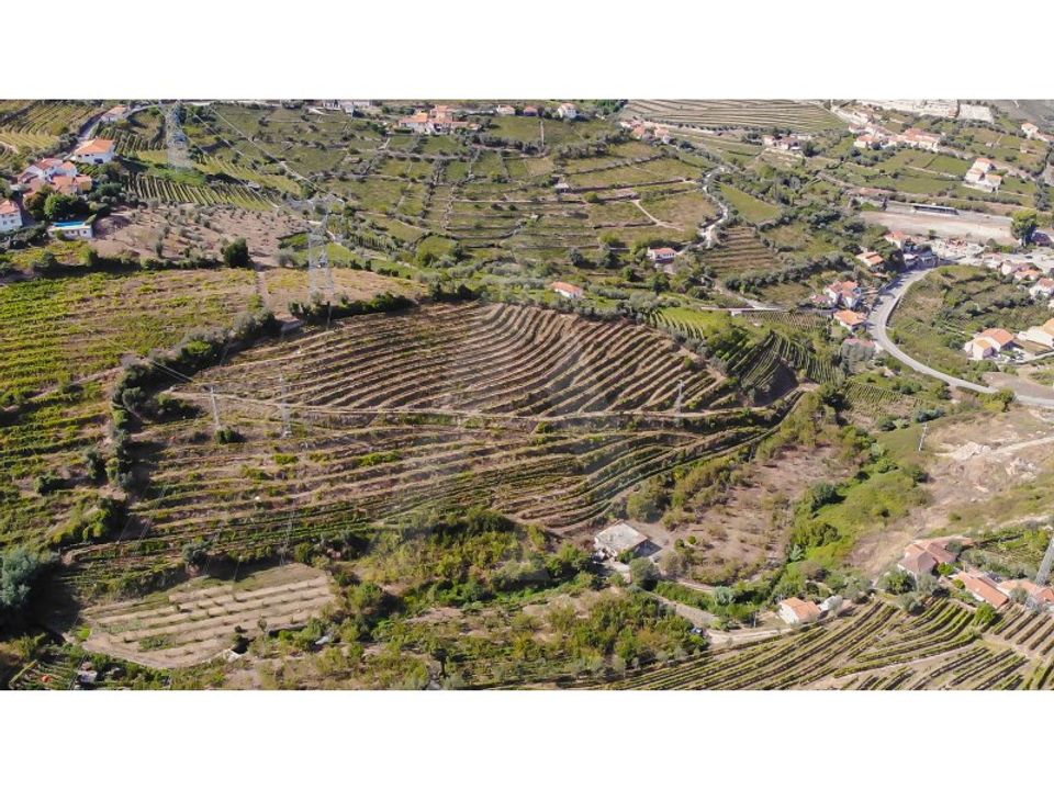 Helårsgrund i Lamego, Viseu - foto 3