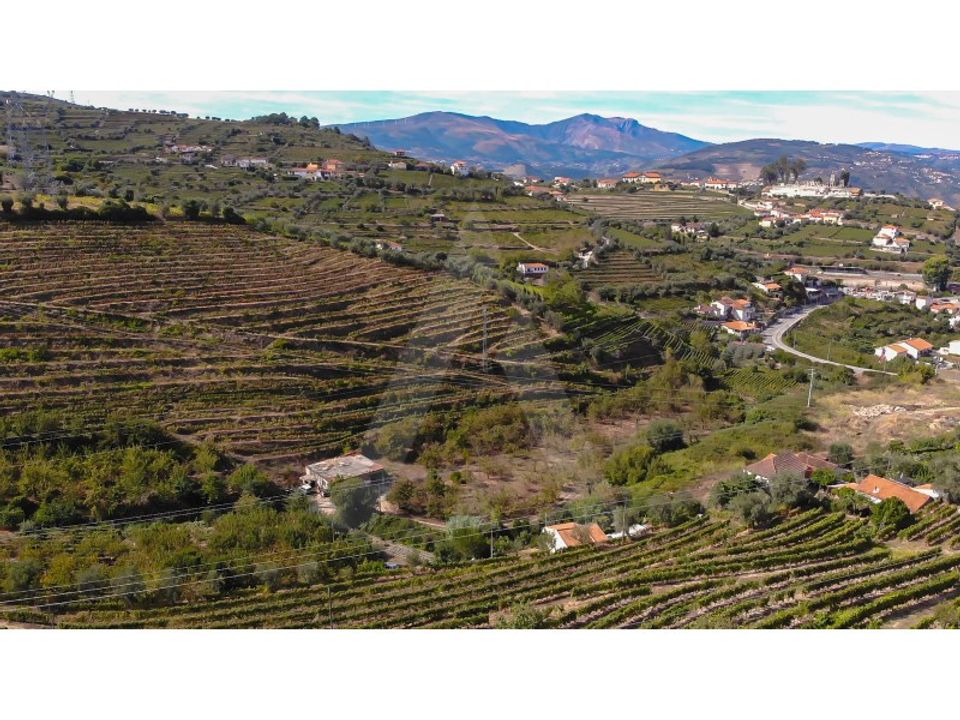 Helårsgrund i Lamego, Viseu - foto 4