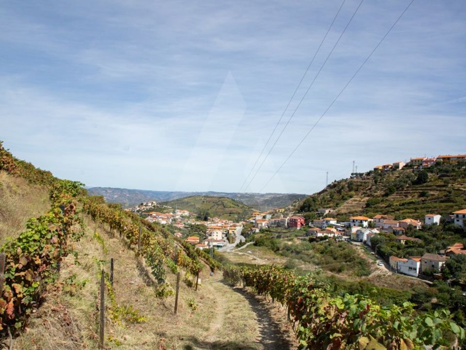 Helårsgrund i Lamego, Viseu - foto 5