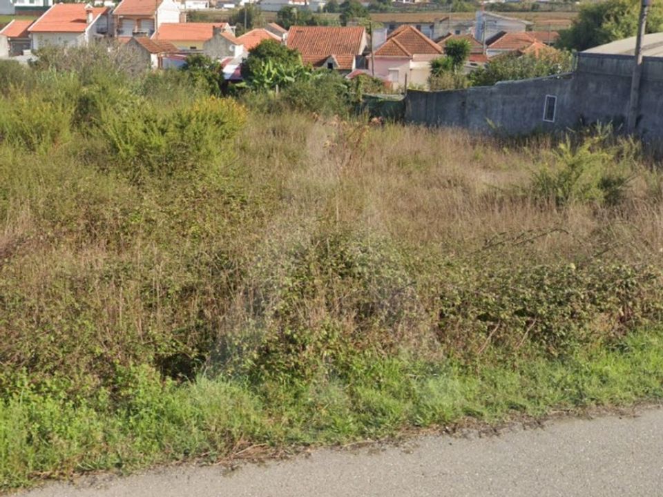 Helårsgrund i Ilhavo, Aveiro - foto 3