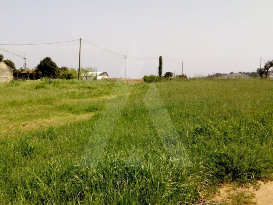 Helårsgrund i Oliveira do Bairro, Aveiro - foto 1
