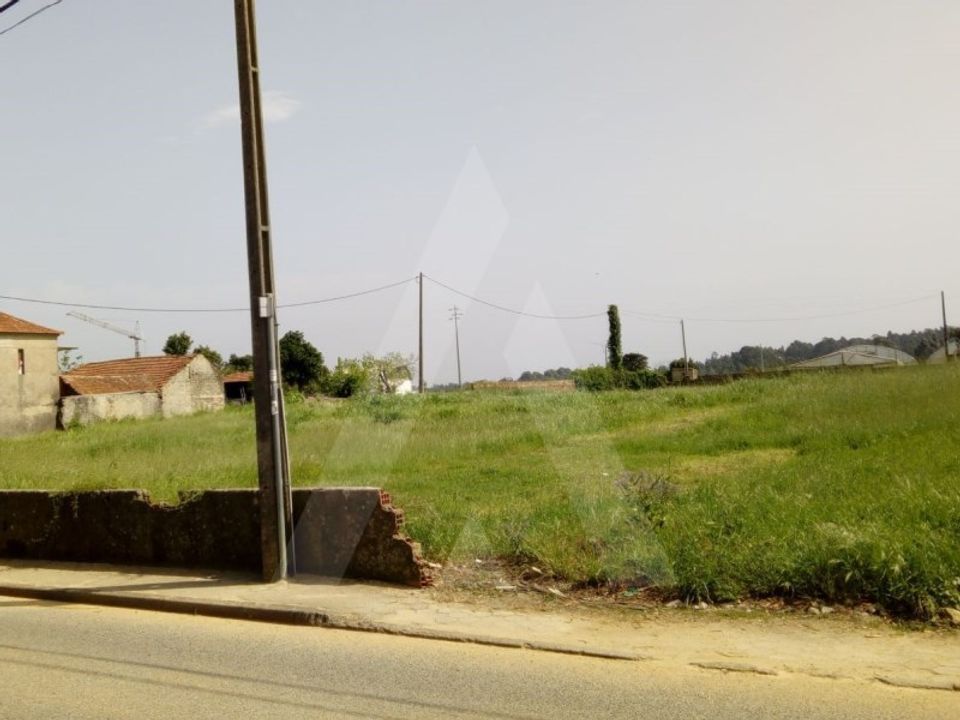 Helårsgrund i Oliveira do Bairro, Aveiro - foto 3