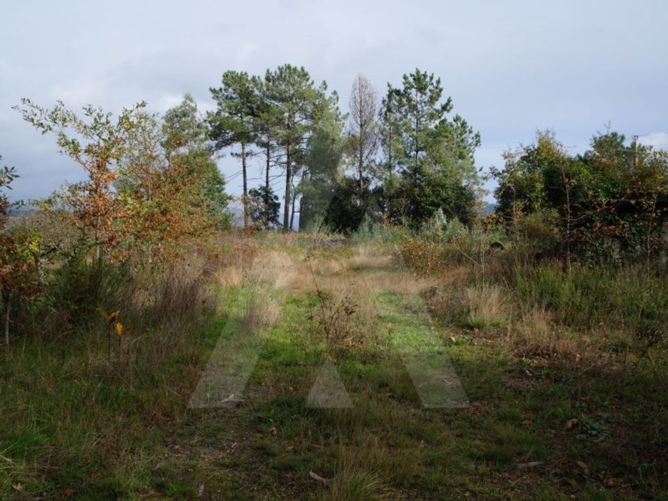Terra em Sever do Vouga, Aveiro - foto 4