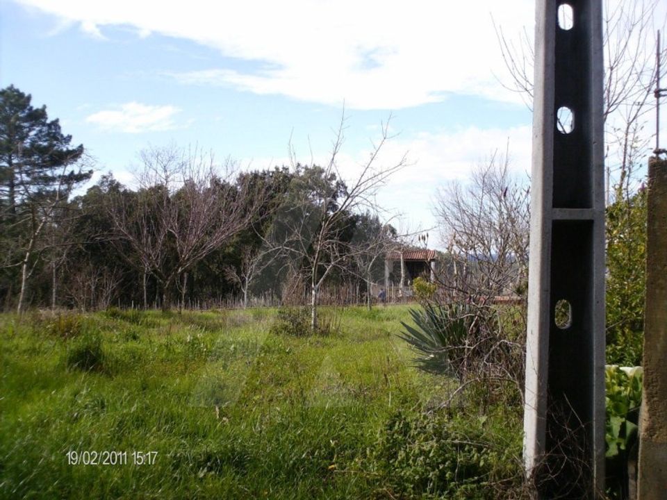 Helårsgrund i Aguada de Cima, Aveiro - foto 1