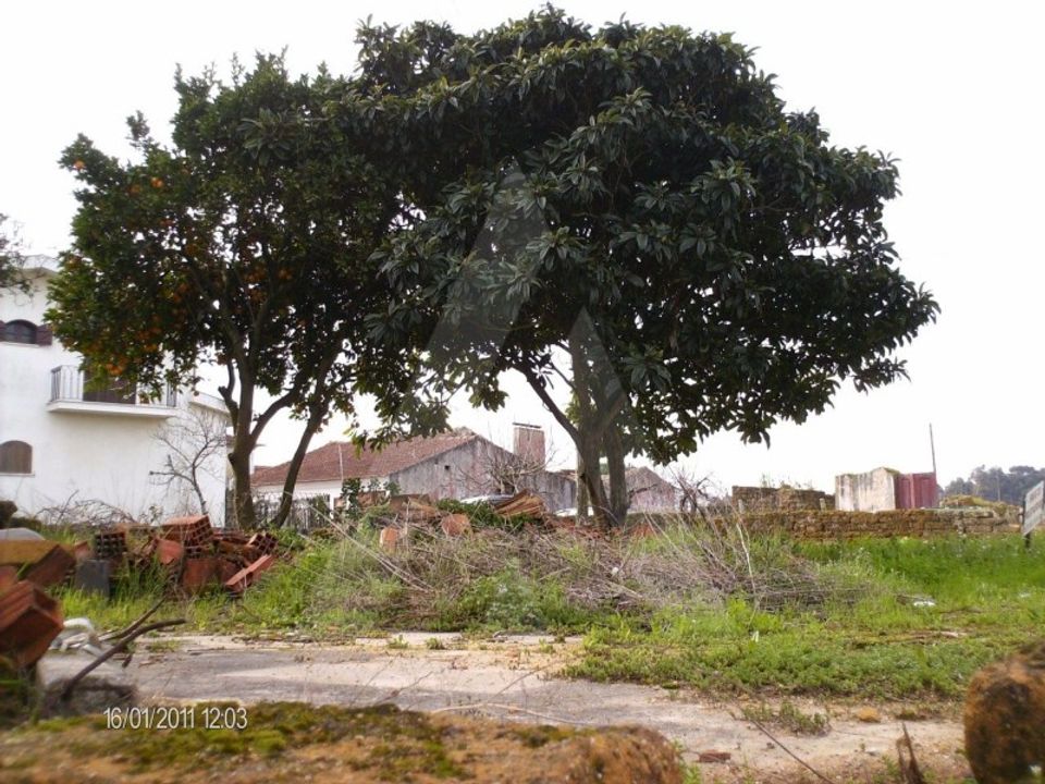 Helårsgrund i Oliveira do Bairro, Aveiro - foto 2