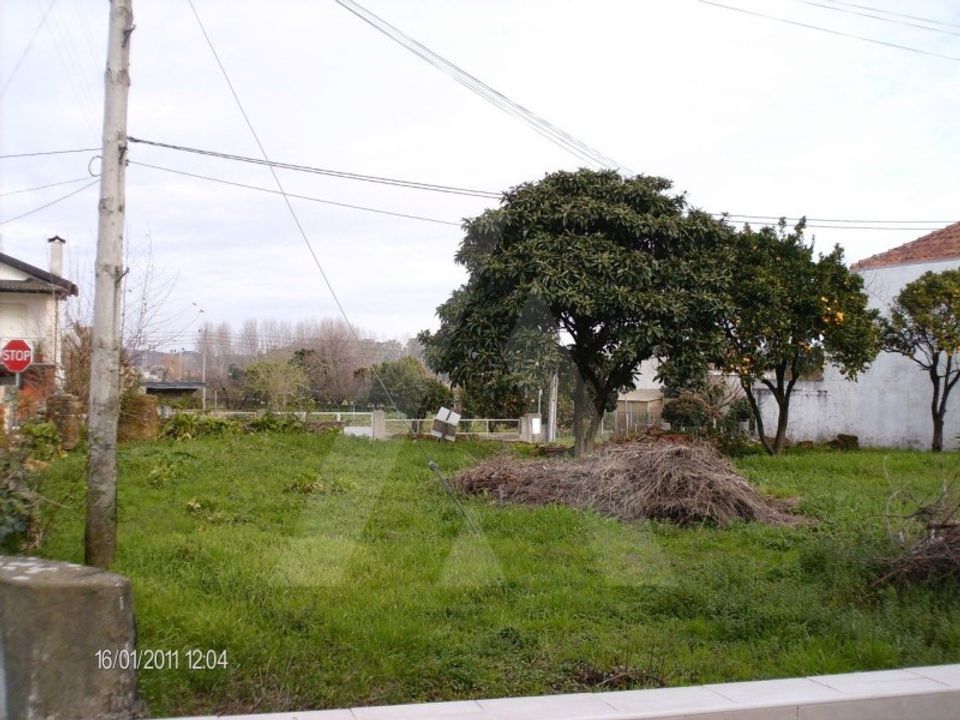 Helårsgrund i Oliveira do Bairro, Aveiro - foto 3