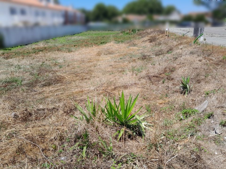 Helårsgrund i Ilhavo, Aveiro - foto 3