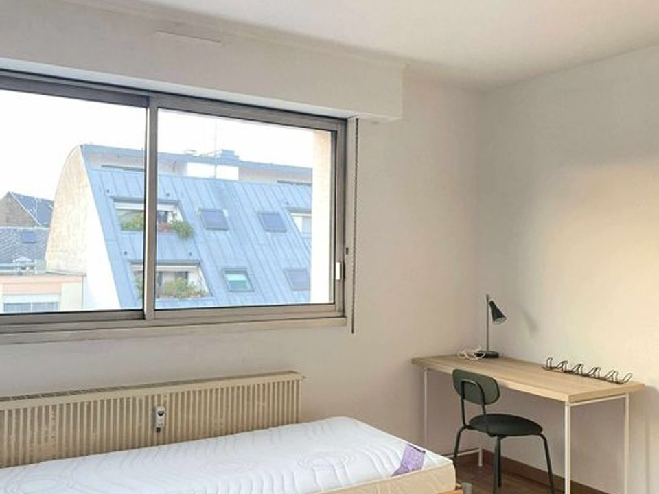 Studio i Strasbourg, Bas-Rhin - foto 3