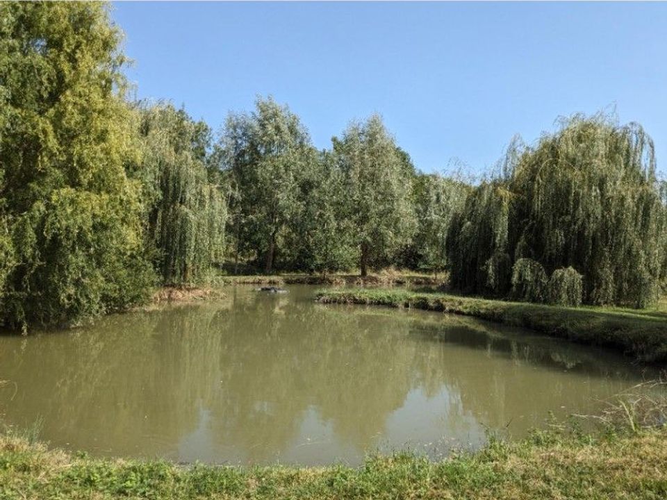 Villa i Thenac, Dordogne - foto 2
