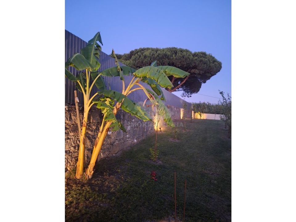 Villa i Sintra, Lisbon - foto 5