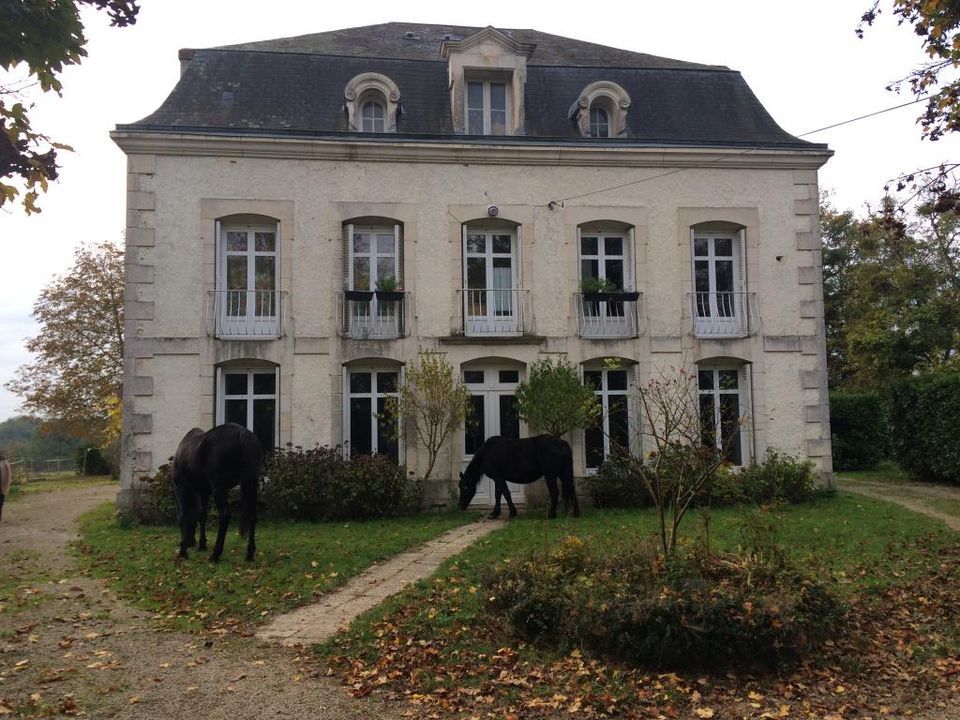 Estudi a Saint-Georges-les-Baillargeaux, Vienne - foto 1