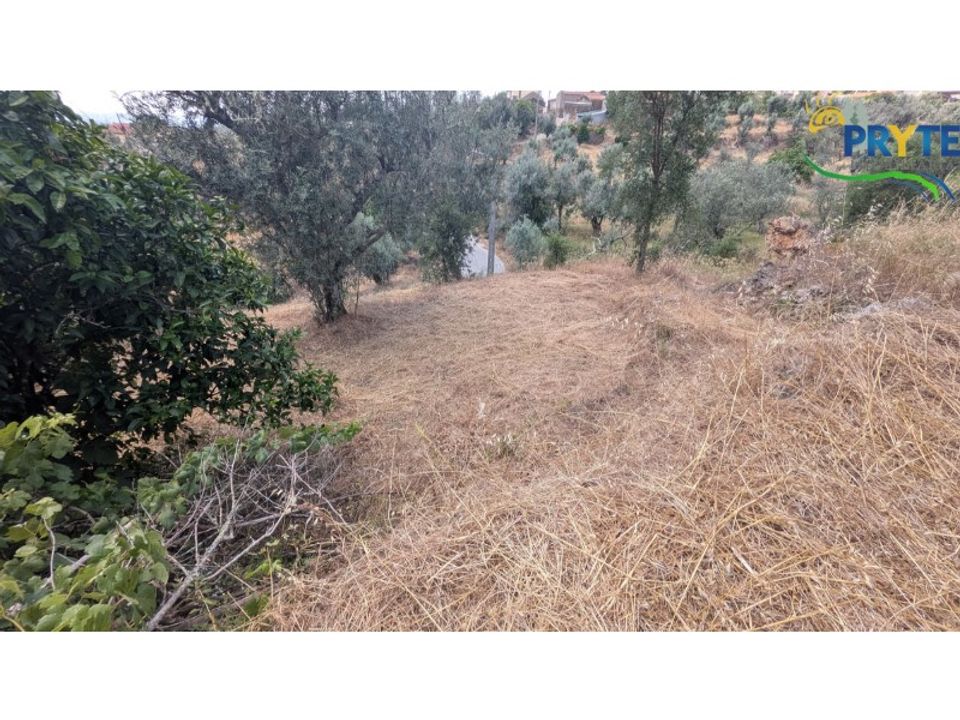 Landhaus in Proenca-a-Nova, Castelo Branco - Foto 5