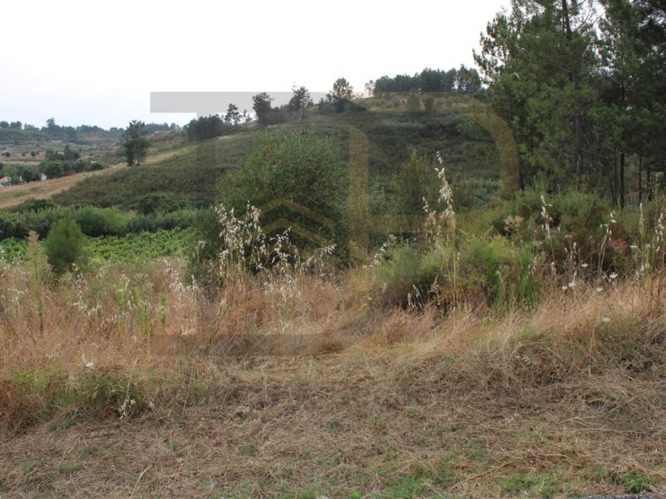 Helårsgrund i Abrantes, Santarem - foto 1